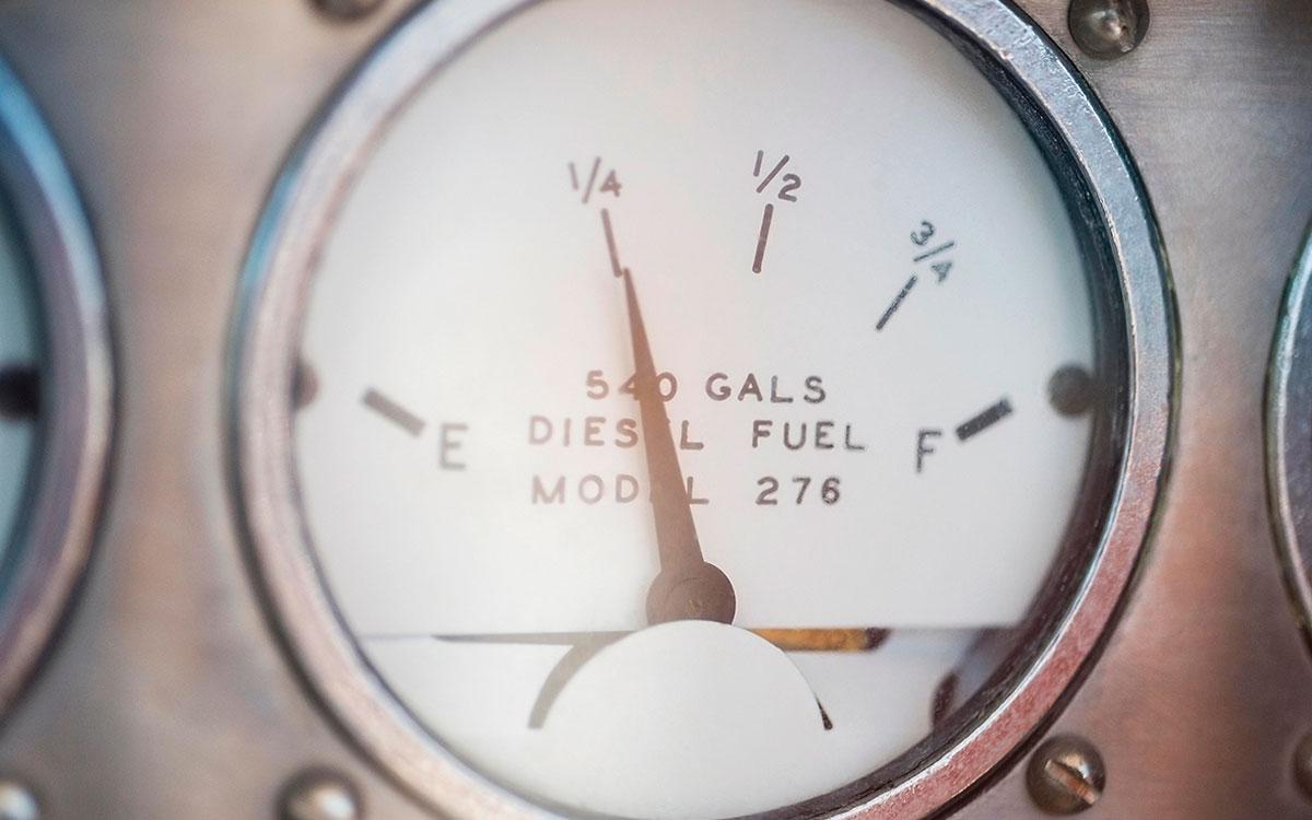 pip-hare-when-to-turn-back-fuel-gauge-credit-moodboard-Alamy